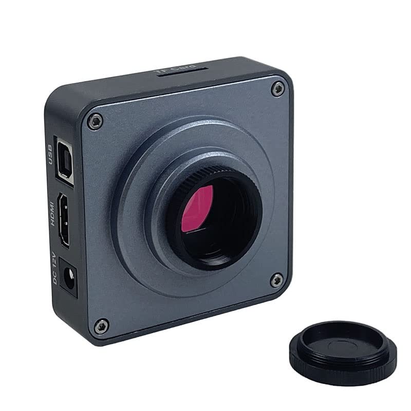 ミロのオリジナル・リト3点含むデリエール・ル・ミロワールNo.203